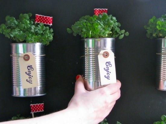 Lembrancinha de casamento: sustentável: mudas de plantas em latas