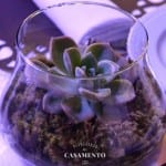 Decoração de casamento: centro de mesa com suculenta. Decoração de Filiz Flores. Foto: Planejando Meu Casamento.