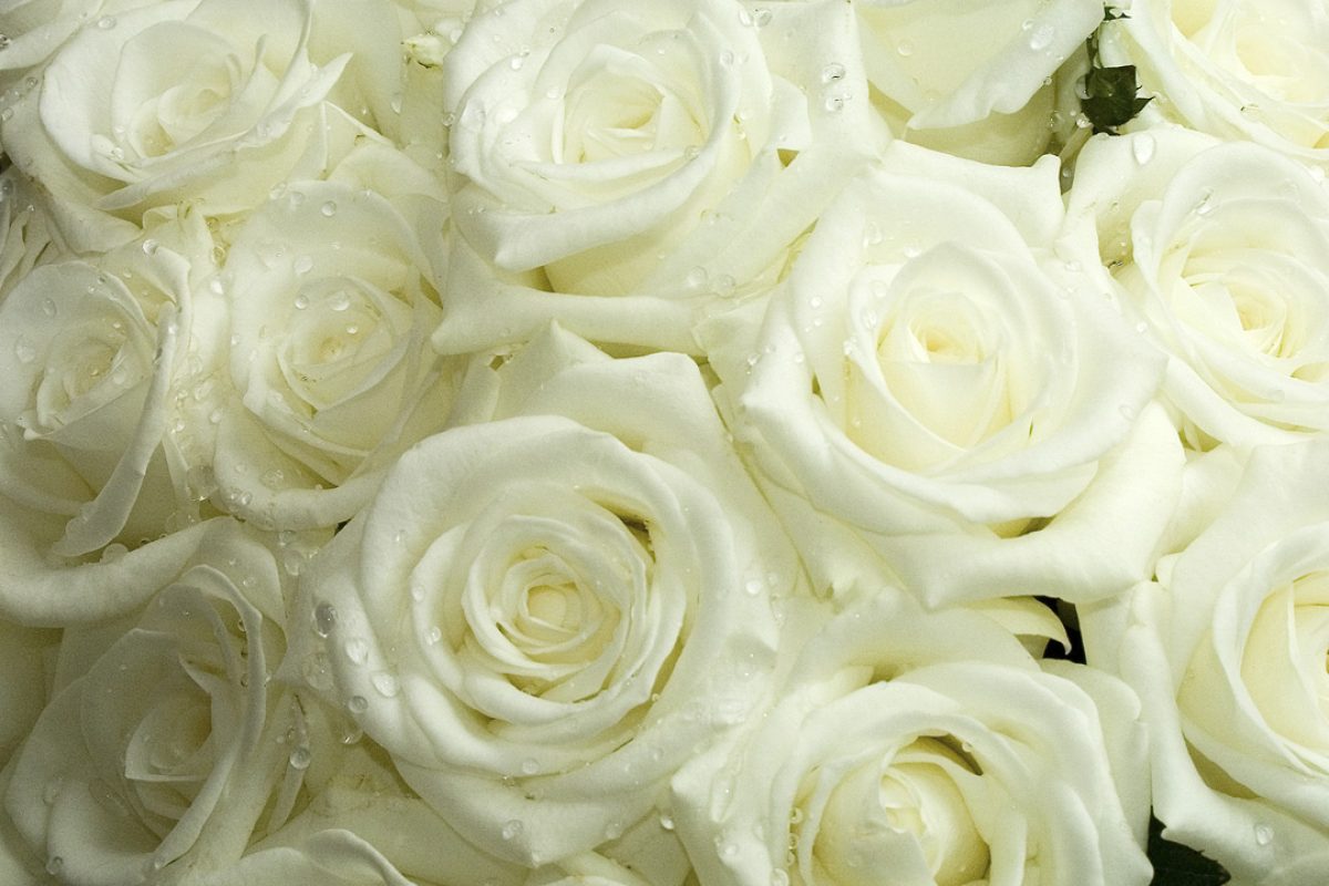 Decoração de casamento: dicas de flores para arranjos simples - Planejando  Meu Casamento