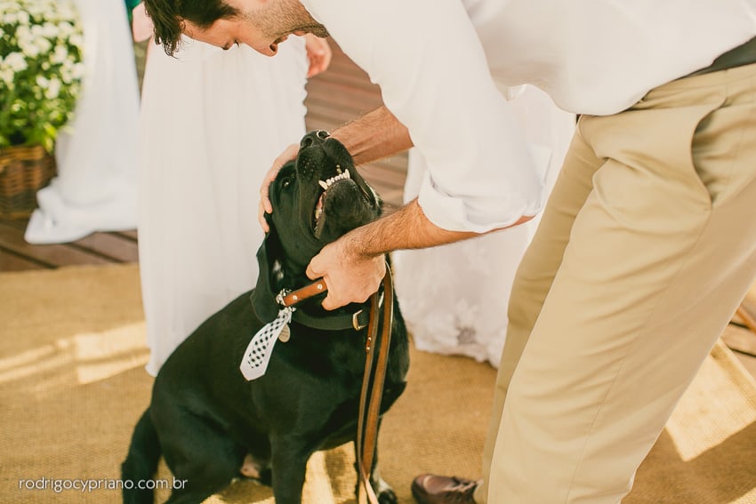 Cachorro no casamento. Foto: Rodrigo Cypriano. Mais inspirações no site Planejando Meu Casamento ( www.planejandomeucasamento.com.br ).