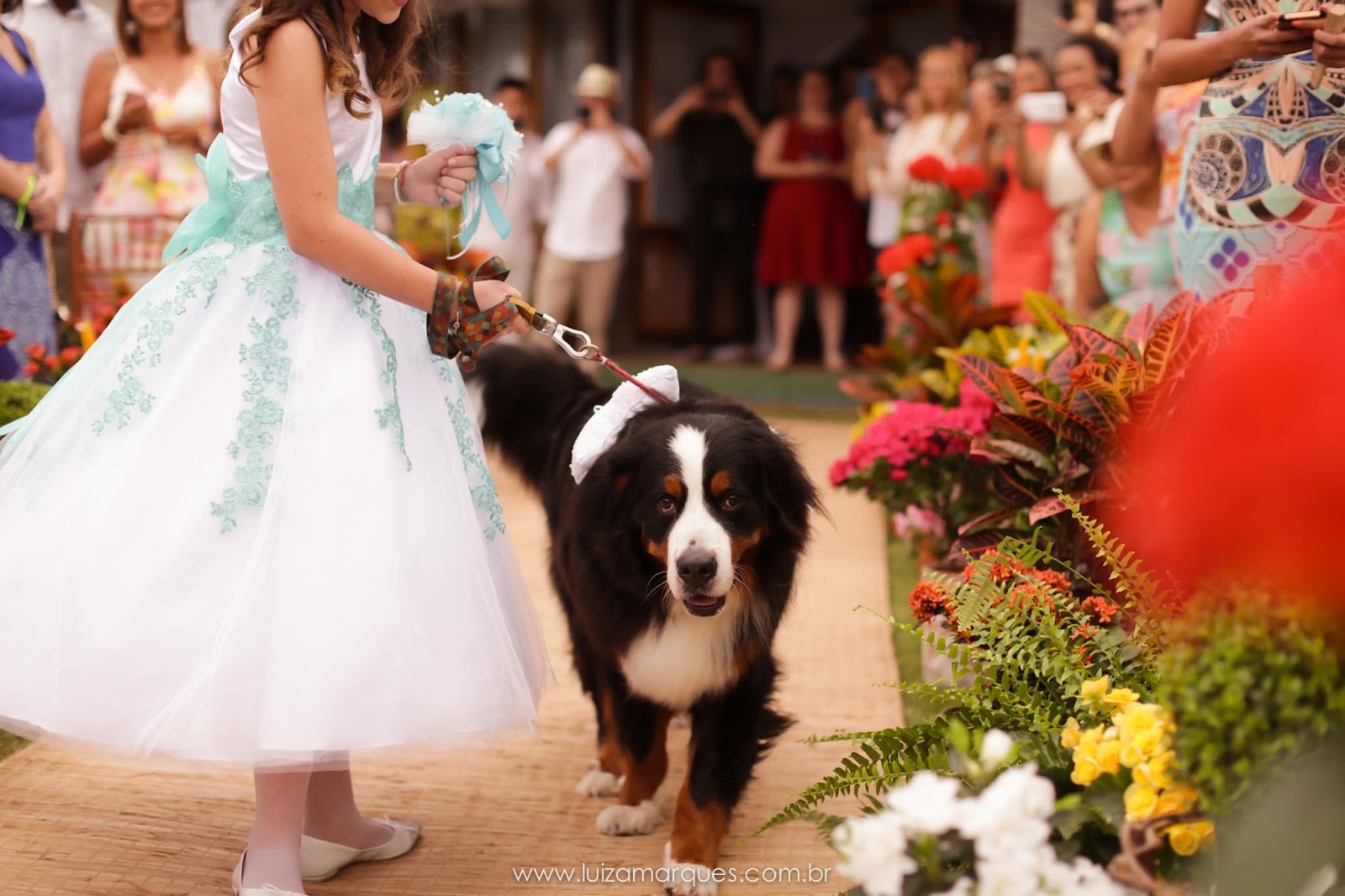 Cachorro no casamento. Foto: Luiza Marques. Mais inspirações no site Planejando Meu Casamento ( www.planejandomeucasamento.com.br ).
