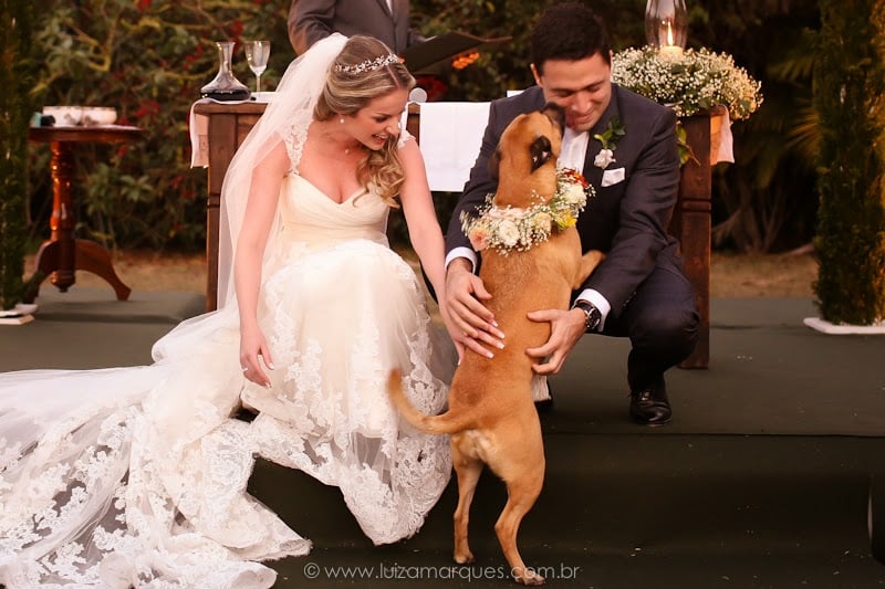 Cachorro no casamento. Foto: Luiza Marques. Mais inspirações no site Planejando Meu Casamento ( www.planejandomeucasamento.com.br ).