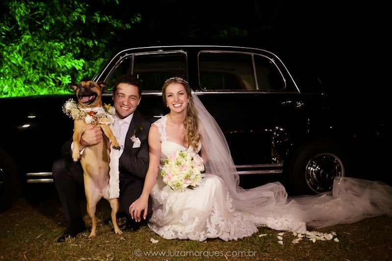 Cachorro no casamento. Foto: Luiza Marques. Mais inspirações no site Planejando Meu Casamento ( www.planejandomeucasamento.com.br ).