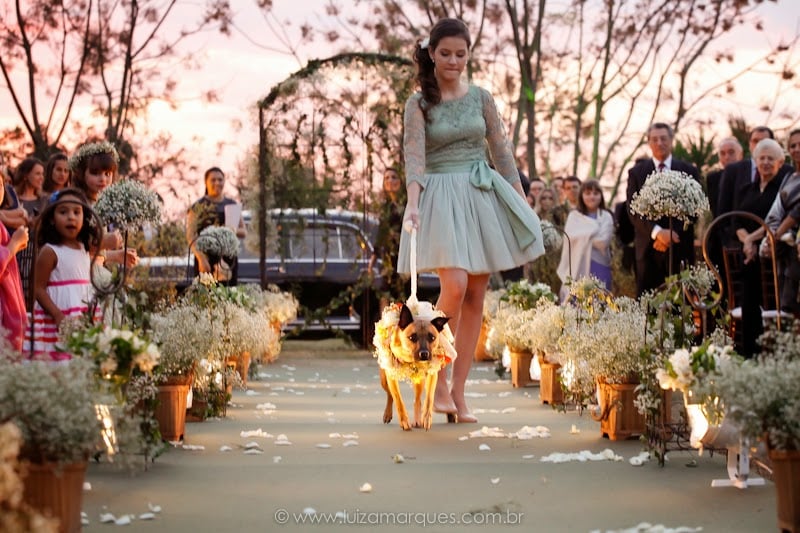 Cachorro no casamento. Foto: Luiza Marques. Mais inspirações no site Planejando Meu Casamento ( www.planejandomeucasamento.com.br ).