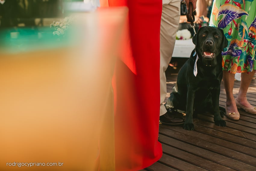 Cachorro no casamento. Foto: Rodrigo Cypriano. Mais inspirações no site Planejando Meu Casamento ( www.planejandomeucasamento.com.br ).